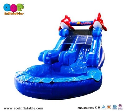 Ti pwason balèn doub enflamab Dlo glise ak pisin nan fen an