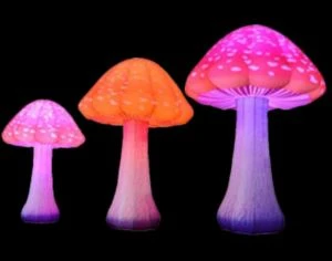 Dirije limye enflatab Mushroom